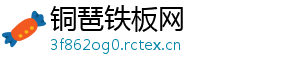 铜琶铁板网